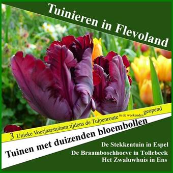 Afbeelding met tekst, plant, tulp, buitenshuis

Door AI gegenereerde inhoud is mogelijk onjuist.